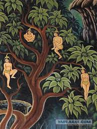 �������� �� ������� narilatha wiki
