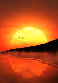 Amarillo Y Naranjas Pictures Scenery Beautiful Nature