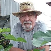 Brown Turkey Fig Types