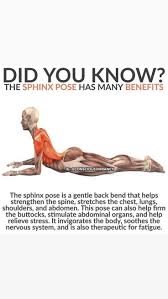 Baby Oh Baby Did You Know Yogaposes Yoga Poses How To Do Yoga Yoga Poses For Men