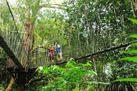 In december 2000, unesco designates as malaysia's first world heritage site. Malaysia Nationalparks Reveal Natur Am Schonsten Wildest