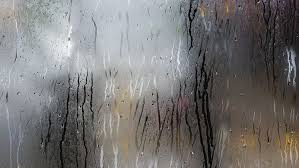 Allergic reactions to mold and/or dust mites. Ultimate Guide For Achieving Ideal Home Humidity Levels