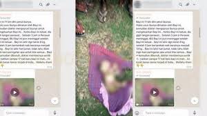 Bayi dalam video bukan bayi monster atau bayi setan seperti yang diviralkan. Heboh Video Bayi Makan Usus Ibunya Selama Dalam Kandungan Ini Yang Sebenarnya Terjadi Indopolitika Com