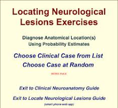 Image result for Neurologic Lesion Localization