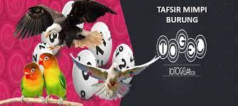 Tafsir Mimpi Burung Dalam Togel Burung Tafsir Mimpi Mimpi