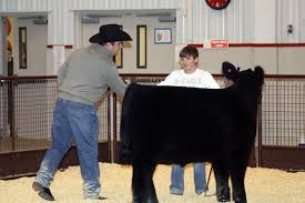 Exotic animal auction south dakota. South Dakota Davison County Calf Show Features Quality Cattle Tsln Com