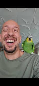 🇳🇱🇩🇪🇩🇰🇸🇪 I am happy to offer a dinner in exchange of a confy couch  or a warm bed 🥰 Here is my route for the next 5 days: Are you near/from  Groningen