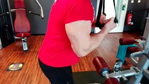 Gefallt 56 Mal 7 Kommentare Robertstupar Robertstupar Auf Instagram Trizeps Ubung Dyson Vacuum Vacuum Cleaner Vacuums