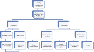 Fertility Preservation In Girls With Turner Syndrome Limitations Current Success And Future Prospects Fertility And Sterility