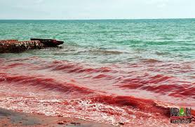 Silver and Red Beach of Hormuz Photo Gallery - Iran Travel and Tourism