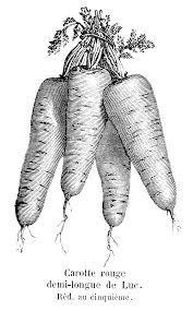 Love This Old School Cookbook Kinda Illustration