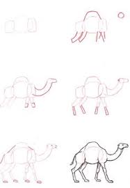 Drawing camels with easy steps instructional. Camel Drawing