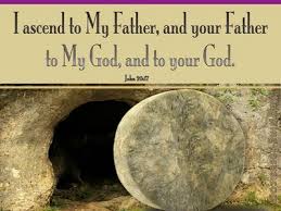 25 Bible Verses About Brotherhood