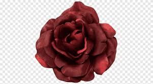 Check spelling or type a new query. Flower Brooch Color Clothing Lapel Pin Burgundy Rose Order Hair Png Pngegg