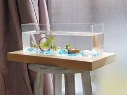 １００均コレクションボックスを水槽に 金魚 水草 金魚 水槽 レイアウト ベタ 水槽