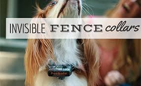 810 invisible fence cat products are offered for sale by suppliers on alibaba.com, of which pet cages, carriers & houses accounts for 1%. Pros And Cons Of An Invisible Fence Collar Caninejournal Com