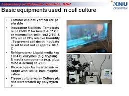 Check spelling or type a new query. Cell Culture Ppt Video Online Download