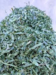 Image result for Gnetum africanum