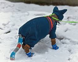 images?q=tbn:ANd9GcSVkZbejynyYrdk4hLyRgJLwPIwtbBIH-nQXw&usqp=CAU