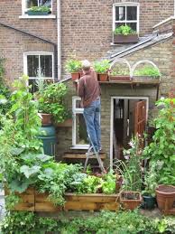 Mark Ridsdill Smith Our Food Hero Of The Month Allotinabox Vegetable Garden Design Urban Garden Small Space Gardening