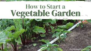 What soil to get for vegetable garden. How To Start A Vegetable Garden Our Stoney Acres
