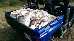 Why buy the Viking, when you could buy an ATV? | Viking Forum