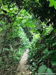 The replies given included gazettement could only be made once the federal lands and mines department had received all land titles from the commissioner of land. Hiking At Bukit Kiara Taman Tun Dr Ismail Rolling Grace Your Travel Food Guide To Asia The World