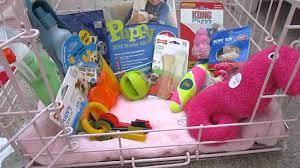 It is also important that you get a puppy of an ideal dog breed so that the puppy you choose possesses good genes and personality traits.otherwise, living. Supplies You Need For A Puppy Youtube