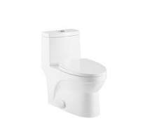 DAX One Piece Oval Toilet with Soft Closing Seat and Dual Flush  High-Efficiency, Porcelain, White Finish, Height 16-9/16 Inches  (BSN-CL12050A)