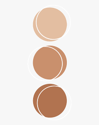 Digital download comes with two print sizes in a zip file : Color Brown Palette Anatomy Aesthetic Kpop Aesthetic Color Palette Circle Hd Png Download Transparent Png Image Pngitem
