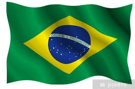 Não compartilhe memes ou coisas do tipo. Fototapete Bandeira Do Brasil Pixers Wir Leben Um Zu Verandern