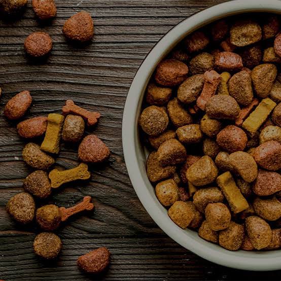 Pet Food Manufacturing Insurance | Horton Group