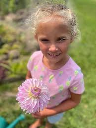 Dahlia varieties from a neighbor's garden