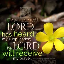 Image result for Psalm 6:2