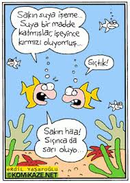 Erdil Yaşaroğlu ile ilgili görsel sonucu