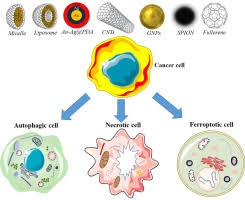 We have used this machine for apoptosis assays and cell cycle assays and it has not disappointed! Targeting Non Apoptotic Cell Death In Cancer Treatment By Nanomaterials Recent Advances And Future Outlook Sciencedirect