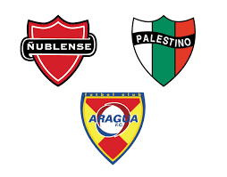 This season in primera división, ñublense's form is average overall with 5 wins, 3 draws, and 4 losses. Nublense Y Palestino De Chile Y Aragua De Venezuela Cumplen Anos Conmebol