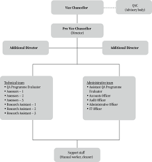 1 Aiub Iqac Organizational Chart Download Scientific Diagram