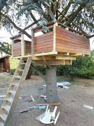 Une Cabane Dans Un Arbre Ian S Web Page Maison Dans Les Arbres Cabane Dans Les Arbres Construire Cabane