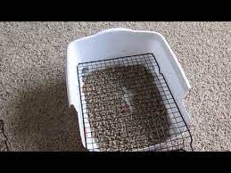 Daisy, our pet bunny is a big digger and we had tough time to find the right litter box and we came up with the one shown in the video, that is fetching her. Rabbit Litter Box Custom Made Diy Scatterless With Grid Grate Under 5 Rabbit Litter Box Rabbit Litter Bunny Litter Box