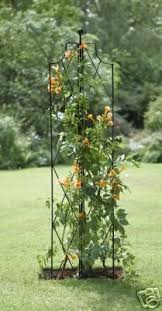 Black Metal Garden Trellis Obelisk Black Garden Metal Obelisk Trellis In 2020 Garten Deko Rosenbogen Garten