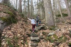 Peoples state forest website ctmq's cfpa blue trails challenge cfpa's online map. American Legion Peoples State Forest Trails Intro