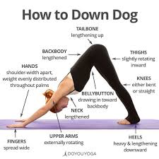 Risultati Immagini Per Downward Facing Dog Yoga For Beginners Yoga Tips Yoga Help