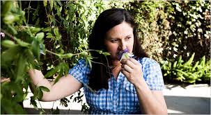 It is a climbing plant which often decorates country houses. Making Flowers Into Perfume The New York Times