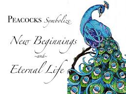 Birds Of A Feather Saying Quotes About Peacocks Quotesgram Peacock Peacock Tattoo Tattoos With Meaning