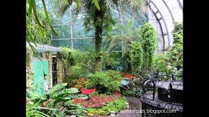 Singapore airport butterfly garden in changi terminal 3 is a great choice. Singapore Changi International Airport Butterfly Garden Youtube