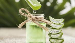 Mengubah Madu Kayu Manis Dan Lidah Buaya Jadi Masker Anti Jerawat Okezone Lifestyle