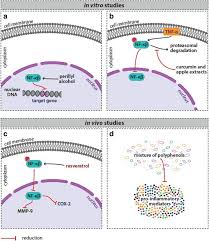 Inverted nipple, which is a change from normal. Dietary Phytochemicals In Breast Cancer Research Anticancer Effects And Potential Utility For Effective Chemoprevention Environmental Health And Preventive Medicine Full Text