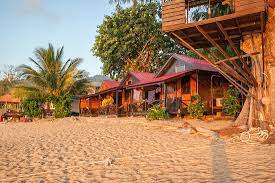 Kampung tekek is a village in pahang and has about 2000 residents. Swiss Cottage Tioman Prices B B Reviews Tekek Malaysia Tripadvisor