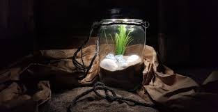 We did not find results for: How To Make A Solar Lamp Step By Step Complete Guide 2021